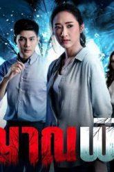 viyarnpitsawong