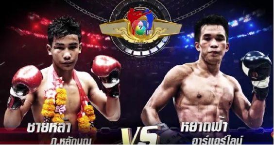 มวยไทย7สี