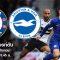 Chelsea_Bright