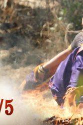 บาจิราว ขุนศึกยอดนักรบ EP.22 (5/5) | ช่อง8 | Bajirao