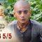 บาจิราว ขุนศึกยอดนักรบ EP.26 (5/5) | ช่อง8 | Bajirao