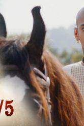บาจิราว ขุนศึกยอดนักรบ EP.32 (3/5) | ช่อง8 | Bajirao