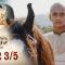 บาจิราว ขุนศึกยอดนักรบ EP.32 (3/5) | ช่อง8 | Bajirao