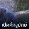 มณีนาคา EP 15 (ตอนที่ 15) วันที่ 25 กรกฎาคม 2562