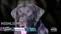 เจ้านาย…ระวัง!!! | Highlight สายลับจับกลิ่น | 5 ก.ค.62 | one31