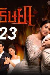 เพลิง23